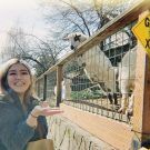 Chelsea Puzzle Pieces Marketing intern