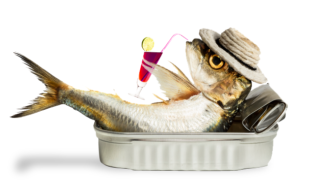 testimonial-fish