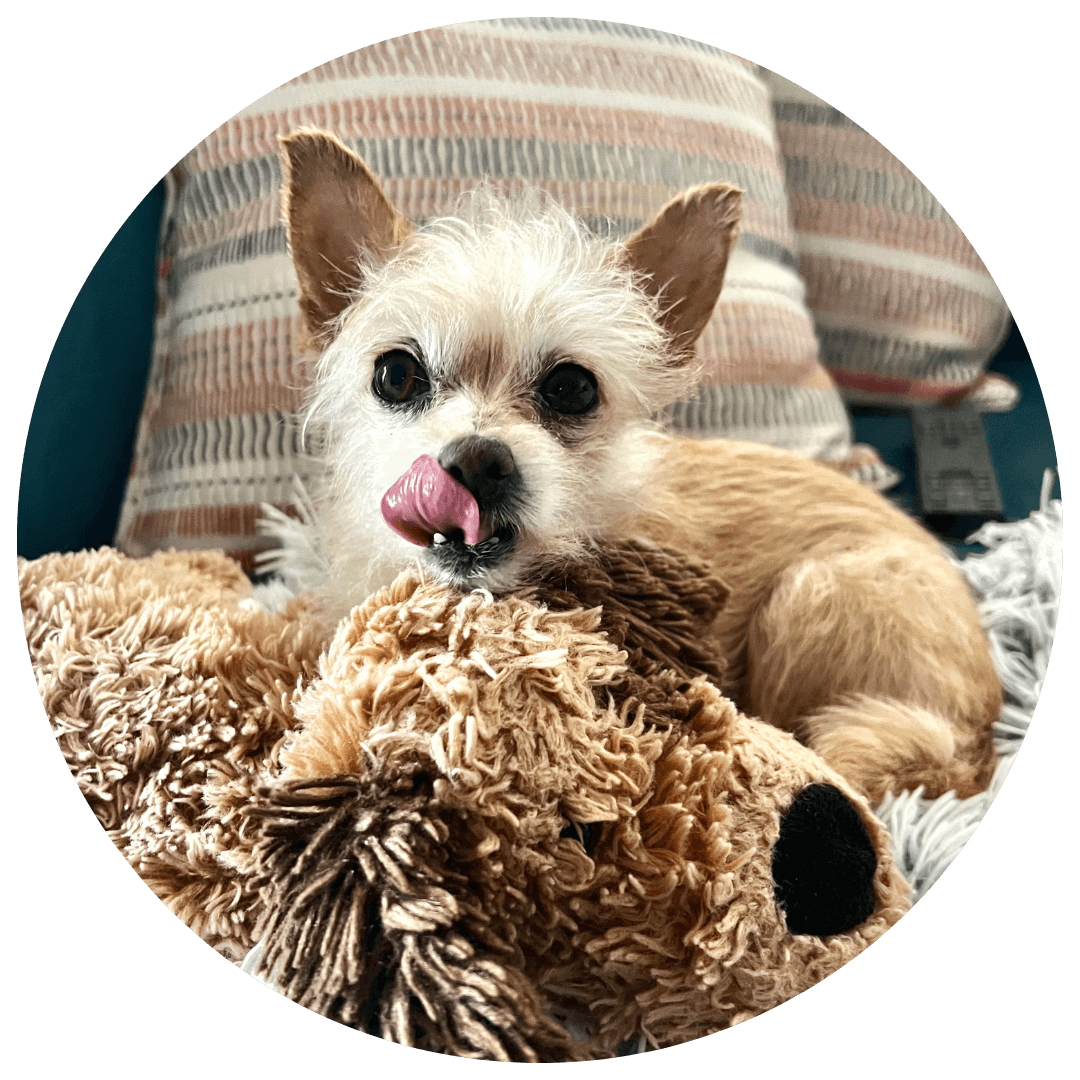 Milk Shake and her baby